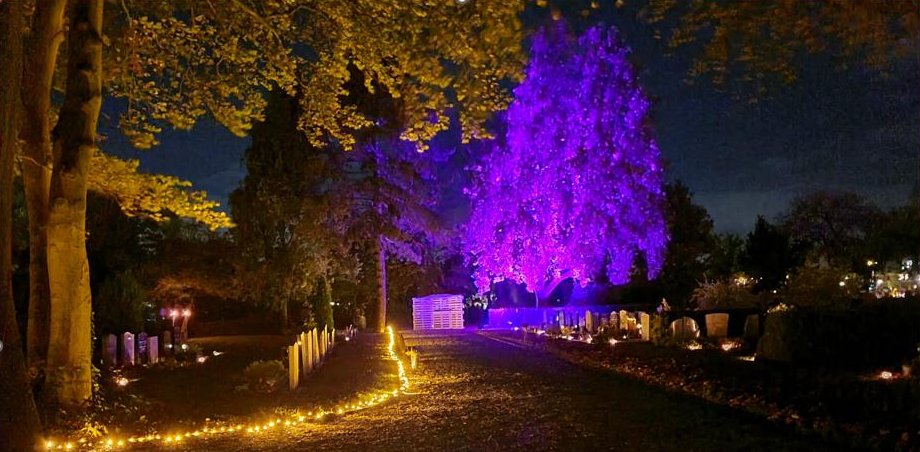 Verlichte begraafplaats Zaandijk tijdens de lichtjesavond